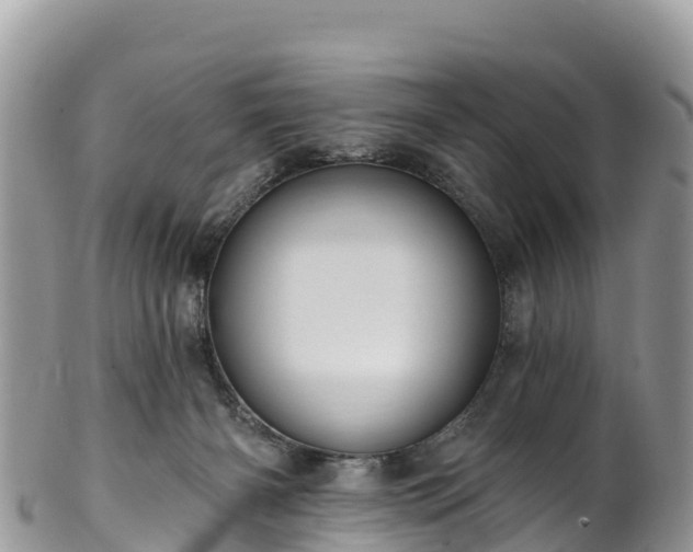 X0000102290126200808011521