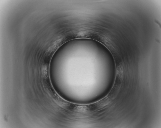 X0000102290127200808011521