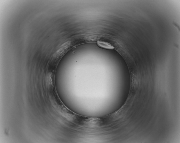 X0000102290128200808011521