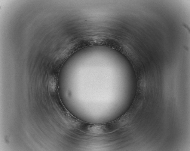 X0000102290129200808011521