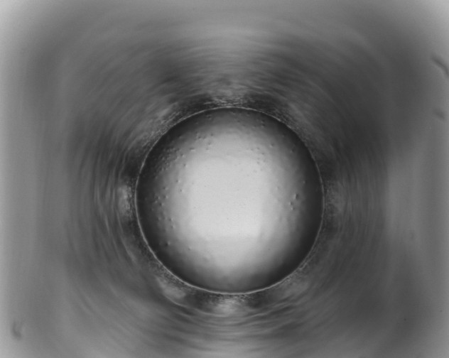 X0000102290130200808011521