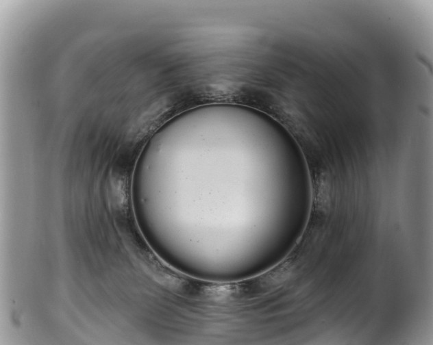 X0000102290131200808011521