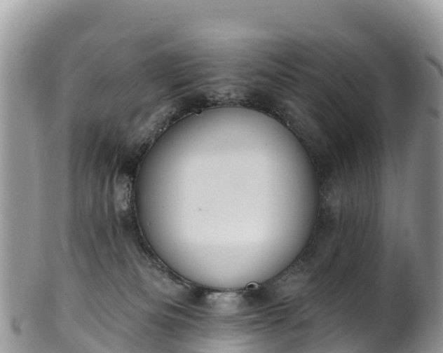 X0000102290133200808011521