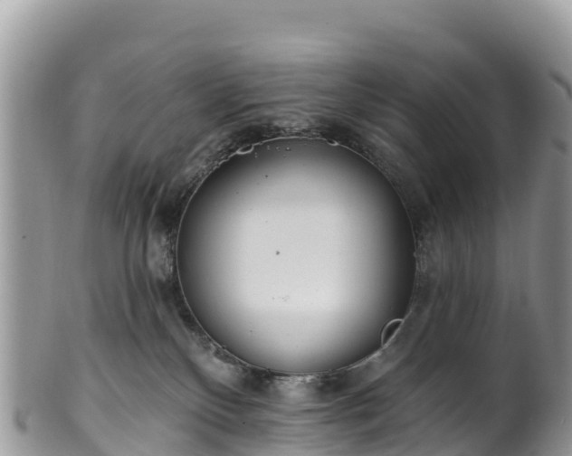 X0000102290136200808011521