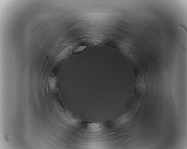 X0000102290139200808011521