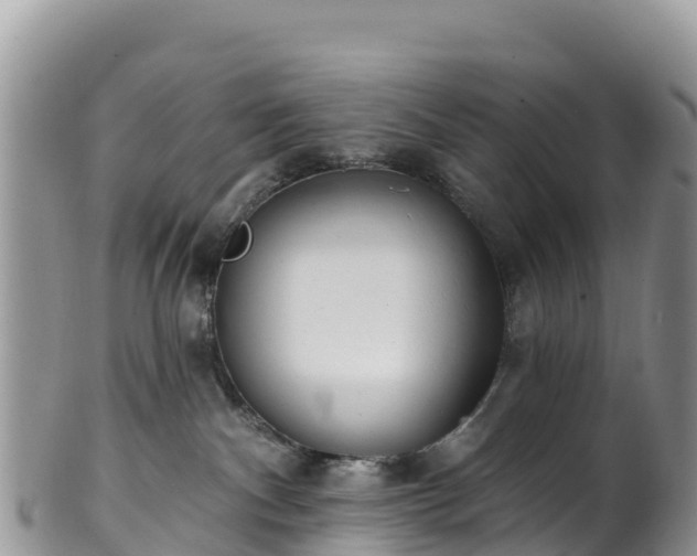 X0000102290140200808011521