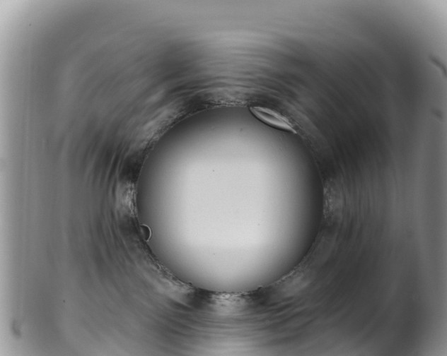 X0000102290141200808011521