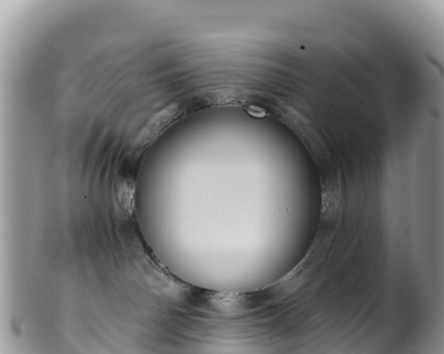 X0000102290142200808011521