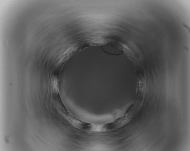 X0000102290143200808011521