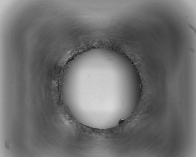 X0000102290144200808011521