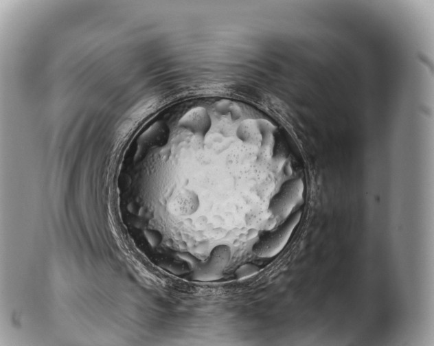 X0000102290145200808011520