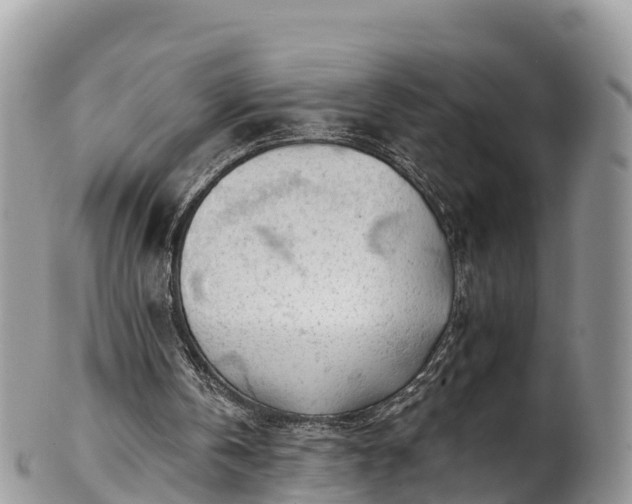 X0000102290146200808011520