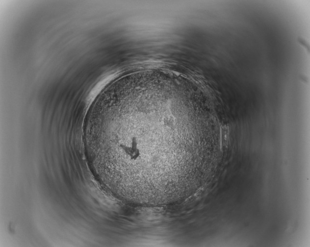 X0000102290147200808011520
