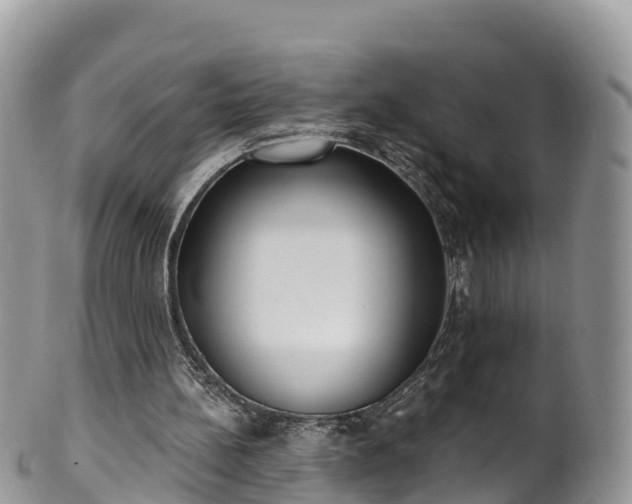 X0000102290148200808011520