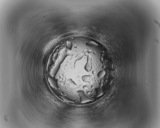 X0000102290149200808011520