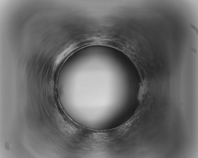 X0000102290150200808011520