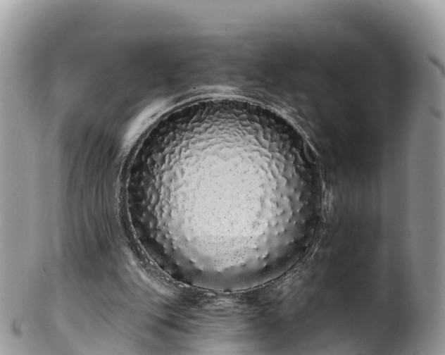 X0000102290151200808011520