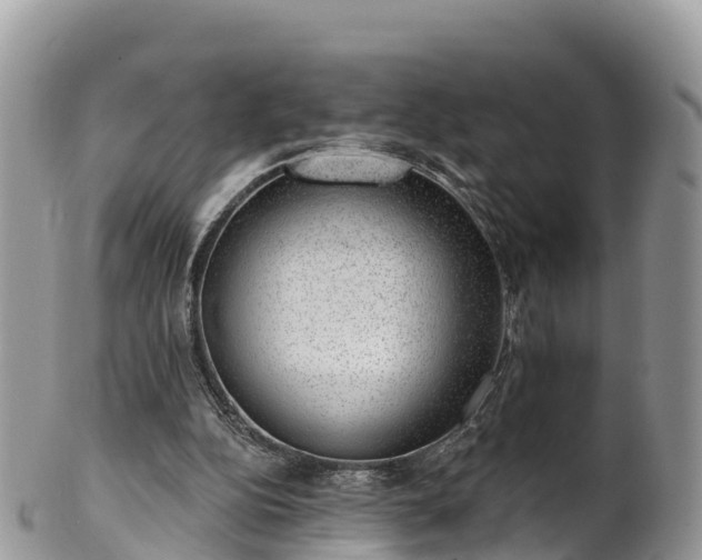 X0000102290152200808011520