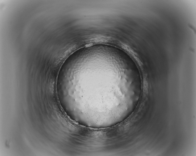 X0000102290153200808011520