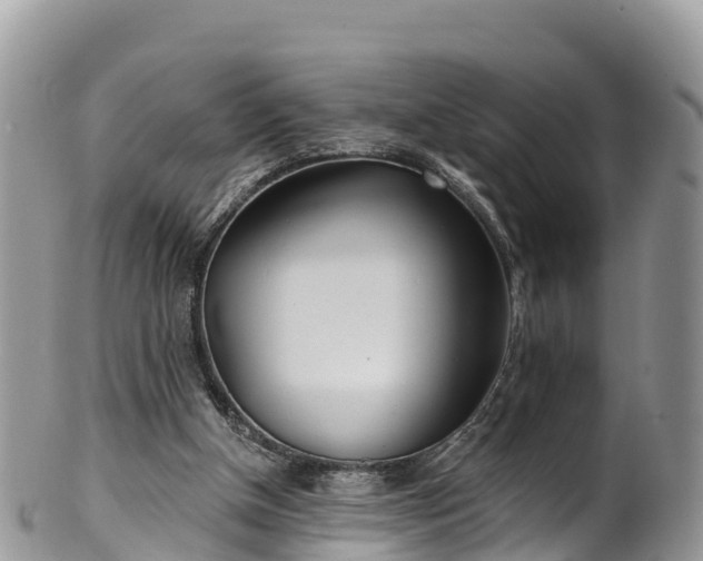 X0000102290154200808011520