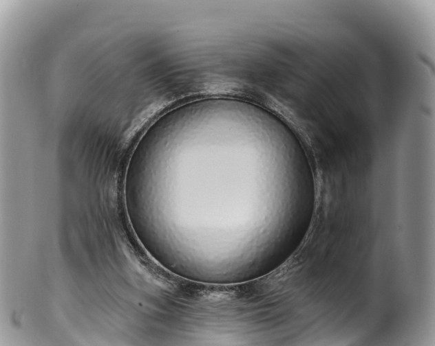 X0000102290155200808011521