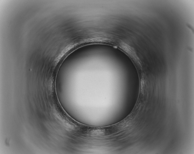 X0000102290156200808011521