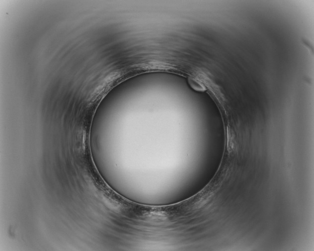 X0000102290157200808011521