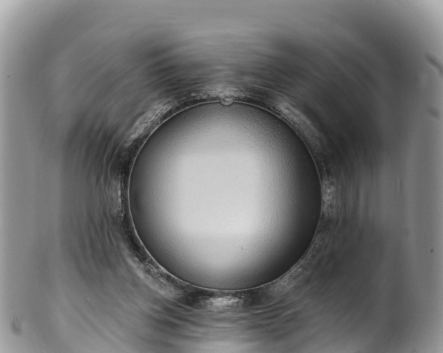 X0000102290158200808011521