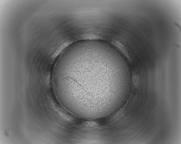 X0000102290159200808011521