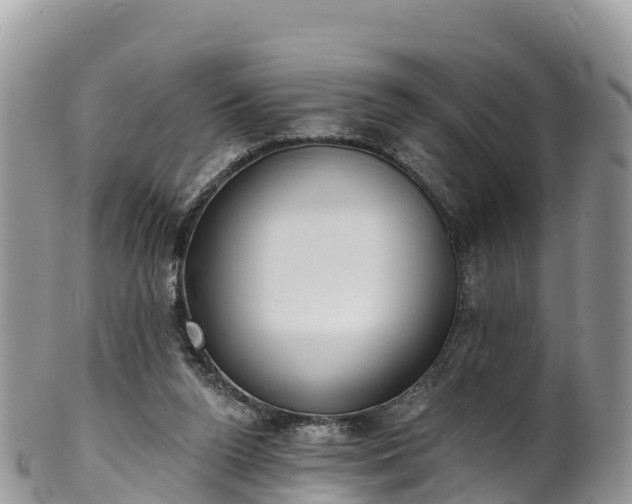 X0000102290160200808011521