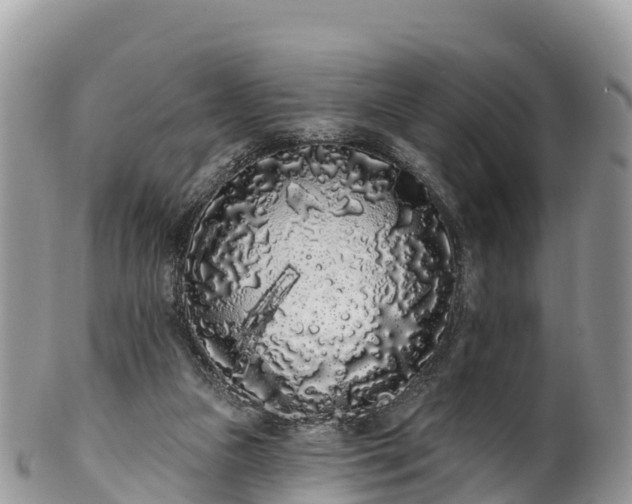 X0000102290161200808011521