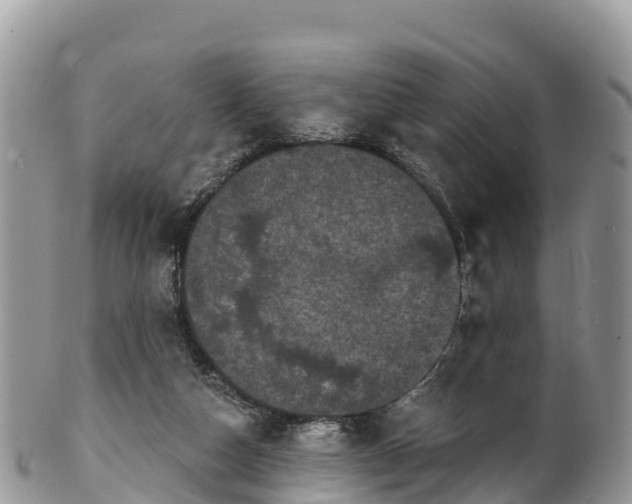 X0000102290162200808011521