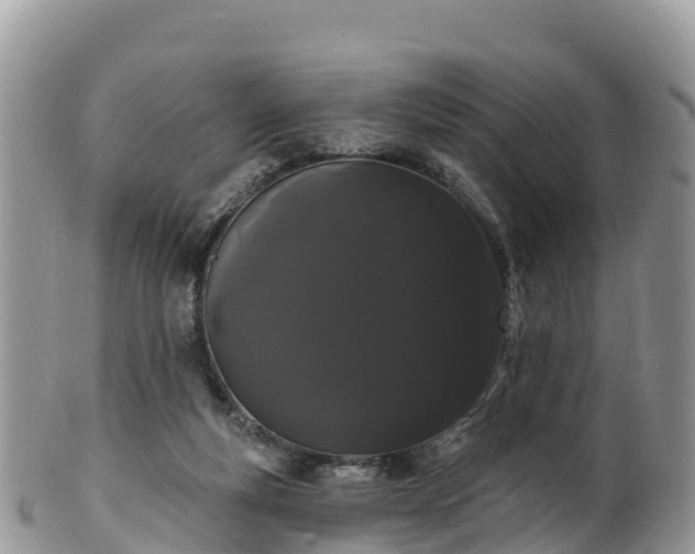 X0000102290163200808011521