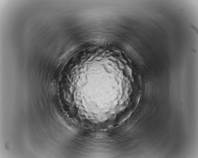 X0000102290165200808011521