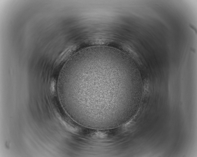 X0000102290166200808011521