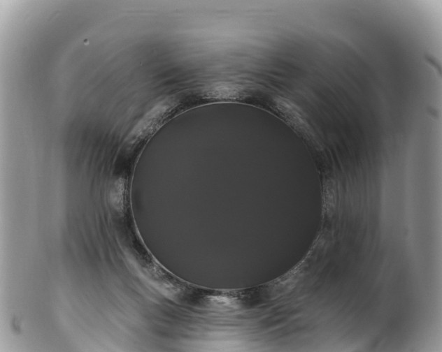 X0000102290167200808011521