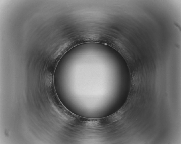 X0000102290168200808011521