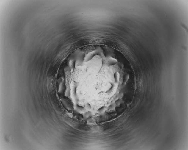 X0000102290169200808011521