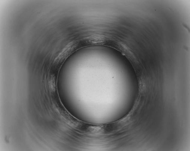 X0000102290170200808011521