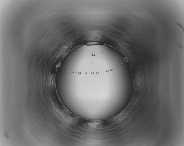 X0000102290172200808011521