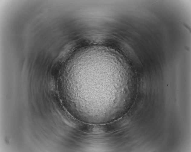 X0000102290173200808011521