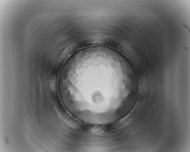 X0000102290175200808011521