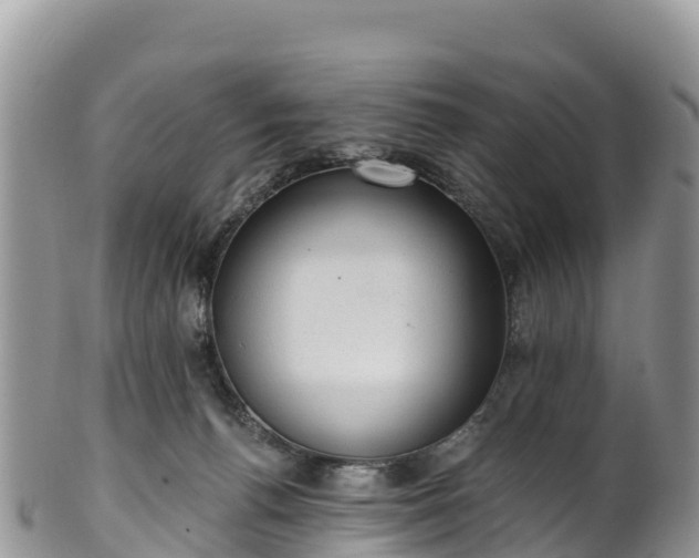 X0000102290176200808011521