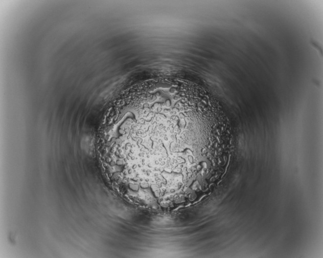 X0000102290177200808011521