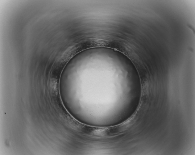 X0000102290178200808011521