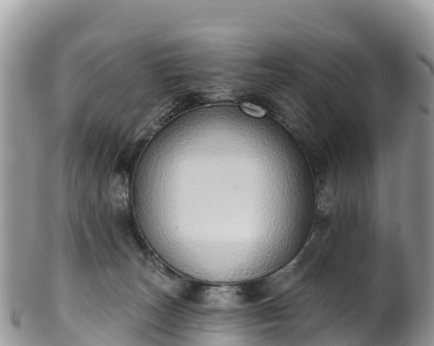 X0000102290179200808011521