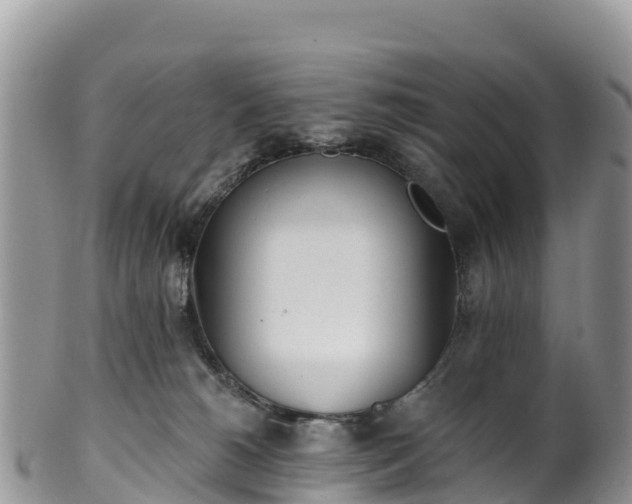 X0000102290180200808011521