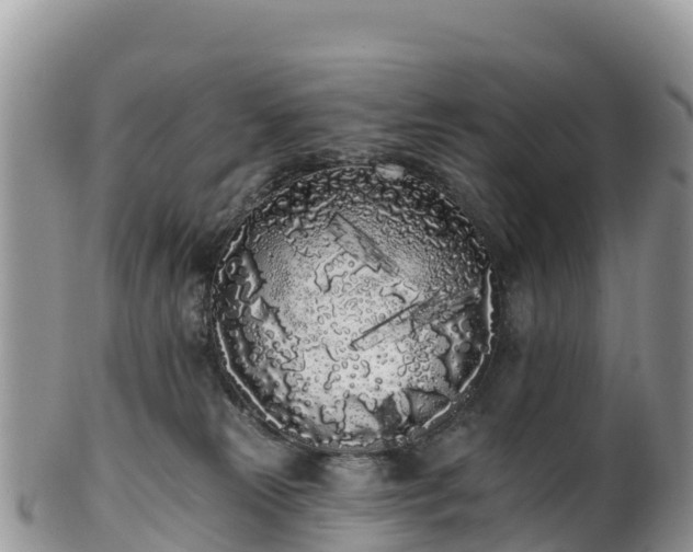 X0000102290181200808011521