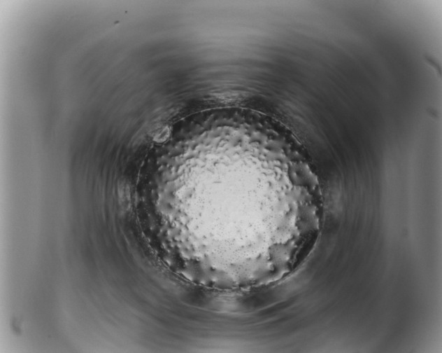 X0000102290182200808011521