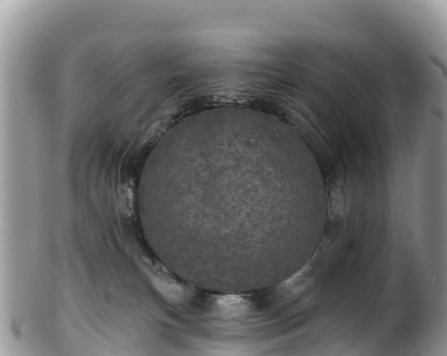 X0000102290183200808011521